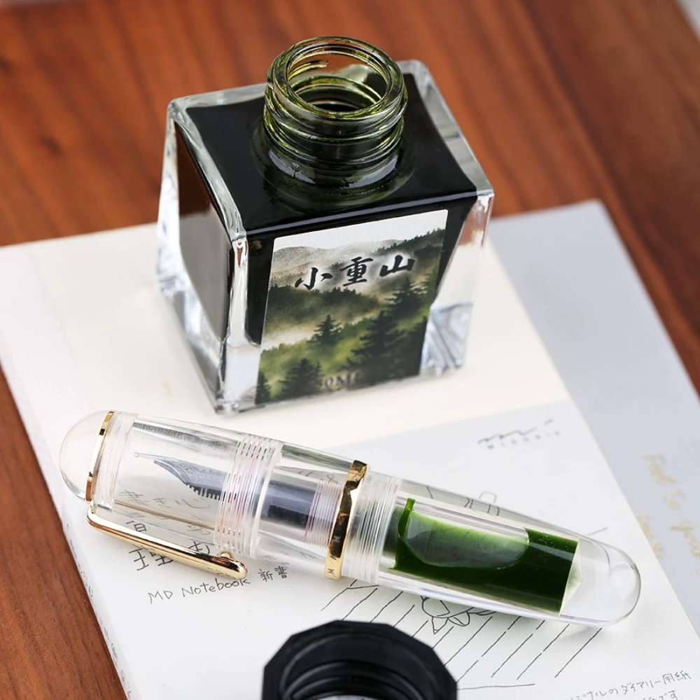 MAJOHN 50ml Fountain Pen Ink V – Fountain Pen Bottled Ink Bewertung und Preis