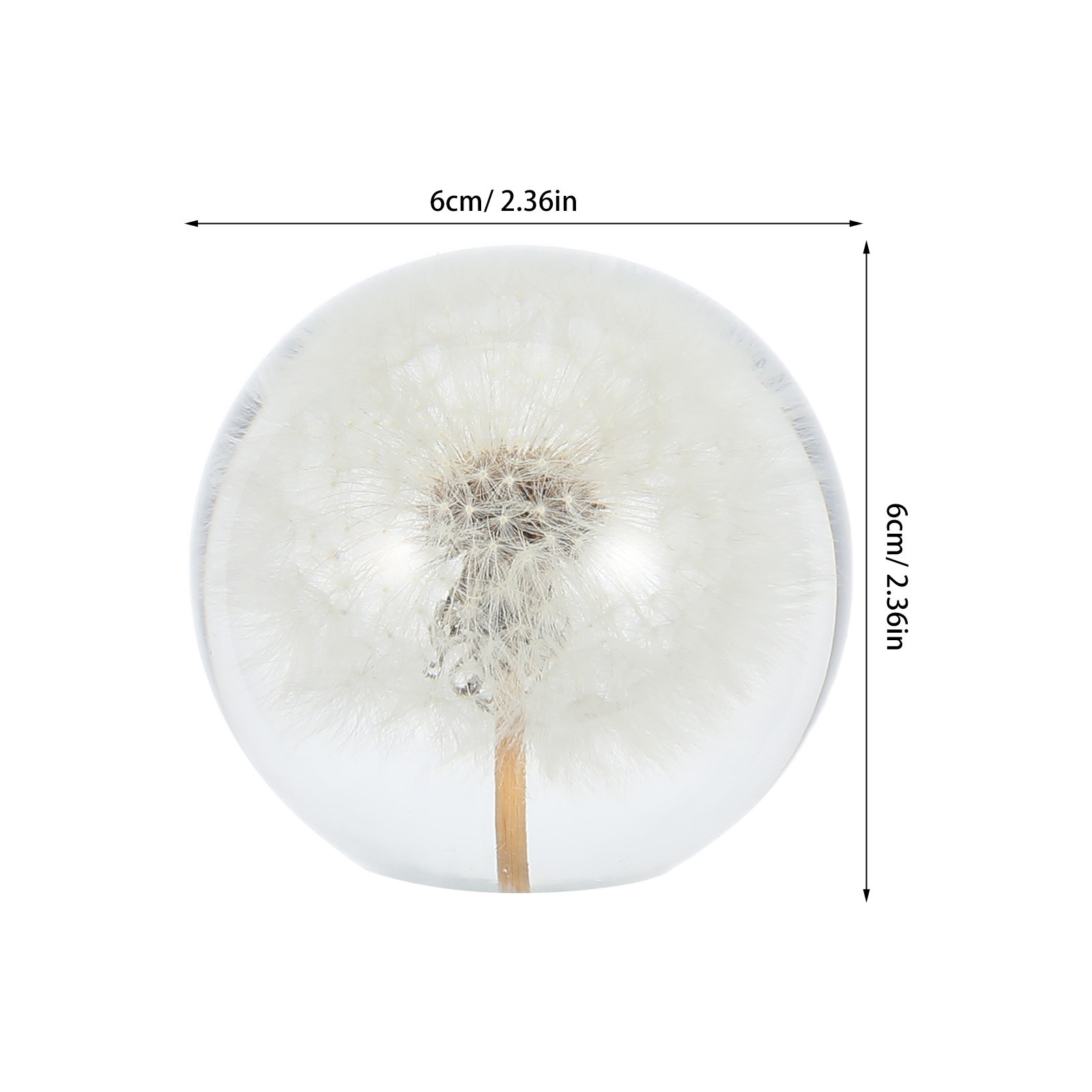 Dandelion Crystal Ball Glass S – Paper Weight Crystal Bewertung und Preis