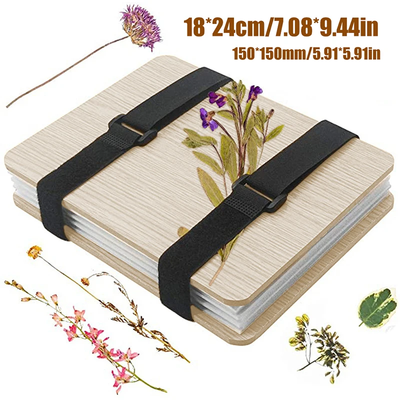 1 Set Plant Specimen Tool Kit  – Ink Blotter Paper Bewertung und Preis